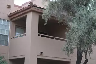 10101 N Arabian Trail, Scottsdale, AZ 85258 - Photo 23