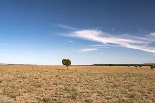 000-A1 Kirby -Parcel A1 Ln, Ash Fork, AZ 86320 - Photo 1