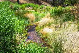 2671 Hwy 82 --, Patagonia, AZ 85624 - Photo 65