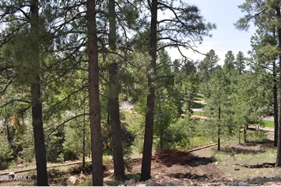3334 S Ghost Tree Drive #1, Flagstaff, AZ 86005 - Photo 13