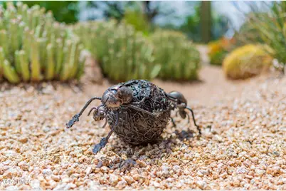 8193 E Sand Flower Drive, Scottsdale, AZ 85266 - Photo 97