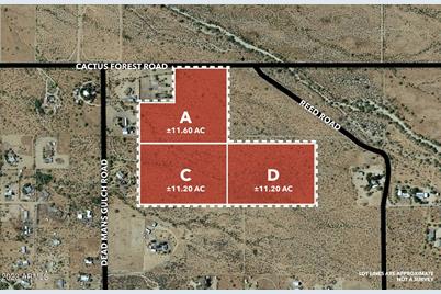 34Acres E Cactus Forest & N. Reed Road #A,C,D - Photo 1