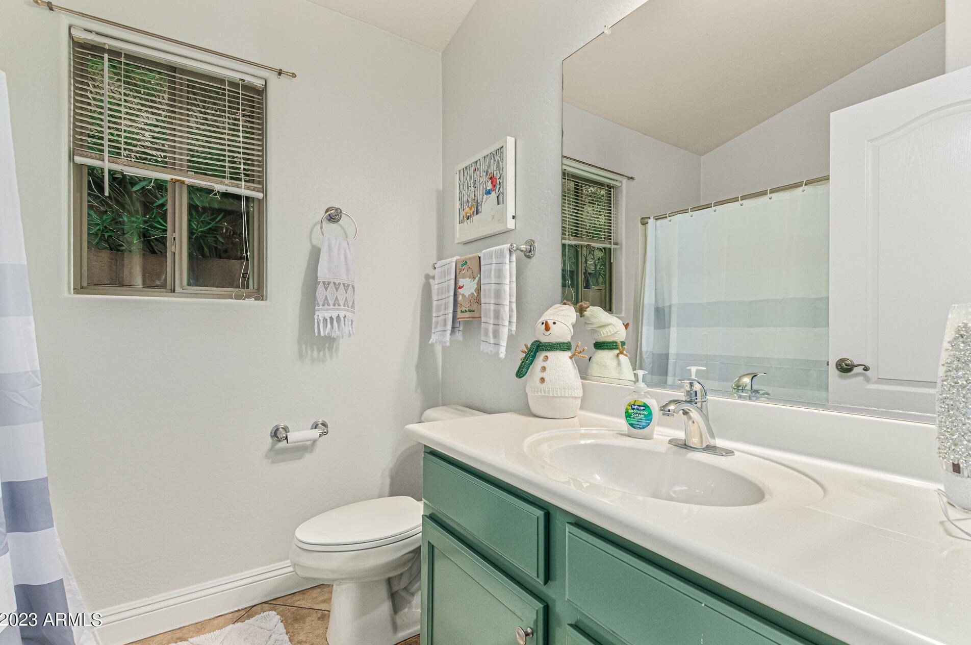 24233 28th St, Phoenix AZ  85024-6219 exterior