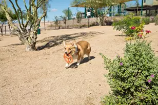 34000 N 27th Ave, Phoenix, AZ 85085 - Photo 15