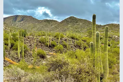 7Xxx E Highland Road E #-, Cave Creek, AZ 85331 - Photo 5