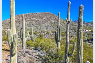 7Xxx E Highland Road E #-, Cave Creek, AZ 85331 - Photo 13