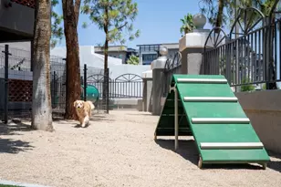 4215 N Drinkwater Blvd, Scottsdale, AZ 85251 - Photo 13