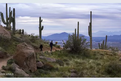 11784 N 110th Place, Scottsdale, AZ 85259 - Photo 57