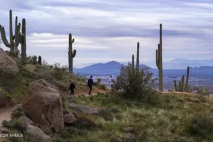 11784 N 110th Pl, Scottsdale, AZ 85259 - Photo 57