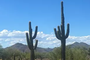 33510 N 56th St, Cave Creek, AZ 85331 - Photo 1