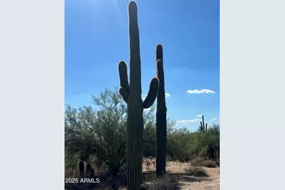 33510 N 56th Street #-, Cave Creek, AZ 85331 - Photo 7