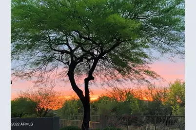 7020 E Mighty Saguaro Way, Scottsdale, AZ 85266 - Photo 47