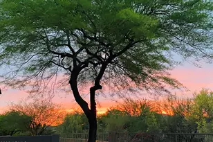 7020 E Mighty Saguaro Way, Scottsdale, AZ 85266 - Photo 47