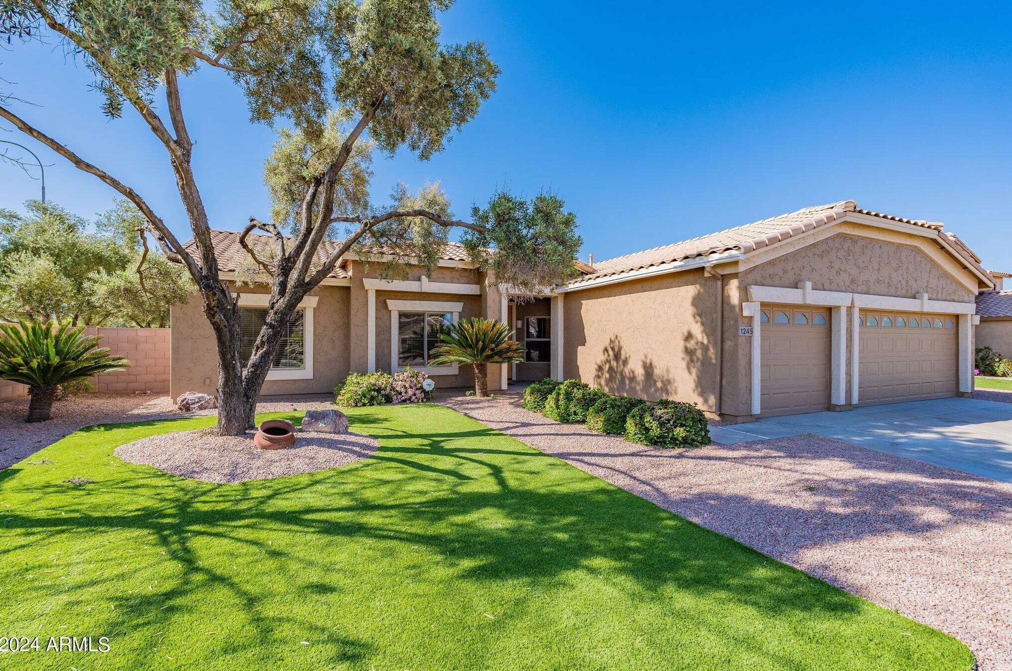 1245 San Carlos Way, Chandler AZ  85249-4716 exterior
