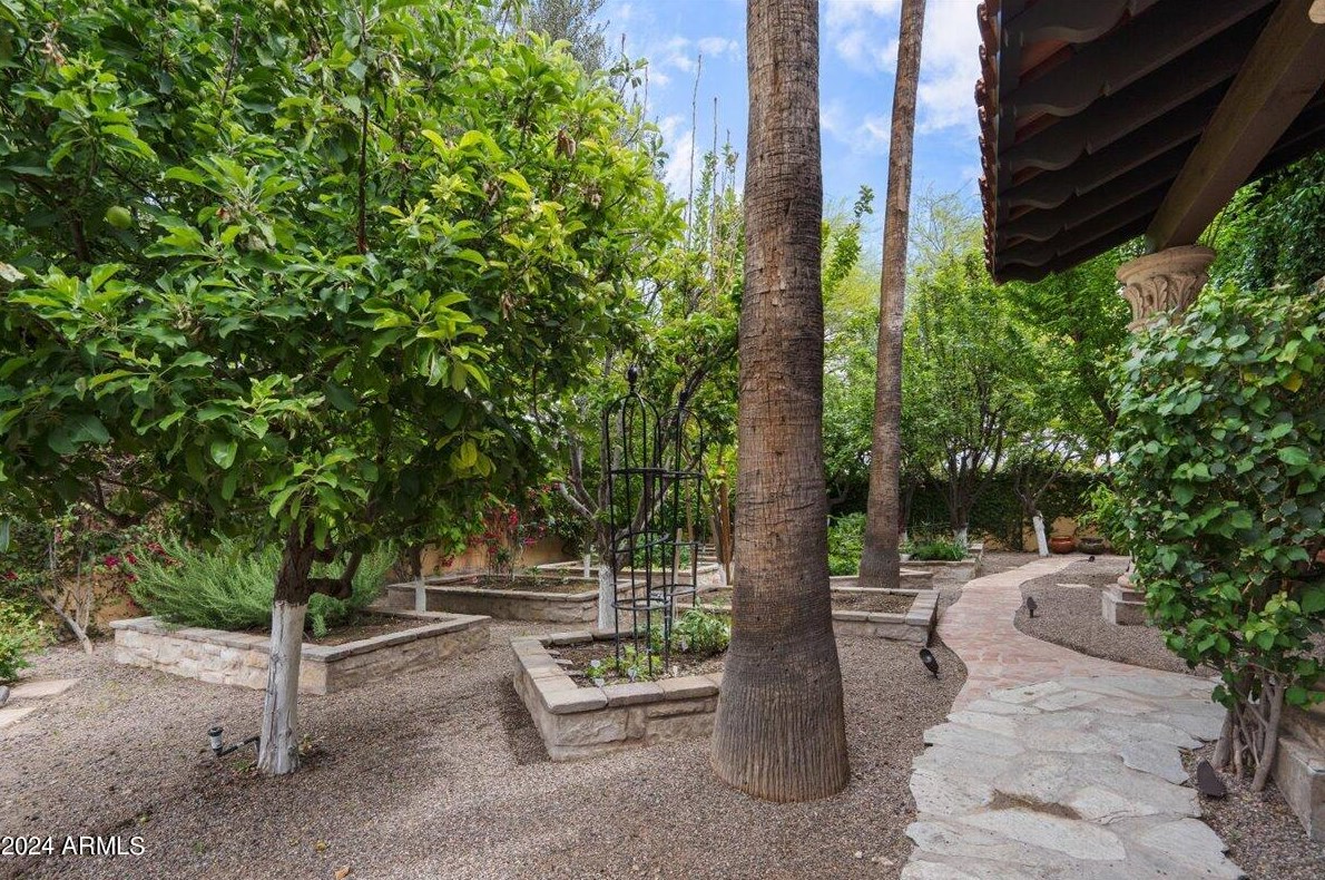 6107 Paradise Dr, Scottsdale AZ 85260-5433 exterior