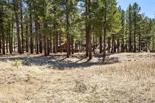 9 County Road N1029 --, Greer, AZ 85927 - Photo 5