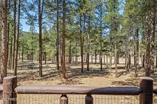 9 County Road N1029 --, Greer, AZ 85927 - Photo 13