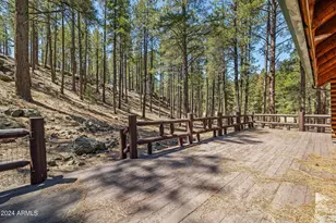 9 County Road N1029 --, Greer, AZ 85927 - Photo 17