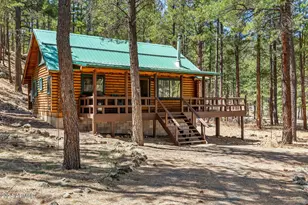 9 County Road N1029 --, Greer, AZ 85927 - Photo 11