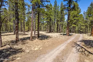 9 County Road N1029 --, Greer, AZ 85927 - Photo 7