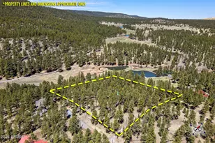 9 County Road N1029 --, Greer, AZ 85927 - Photo 3