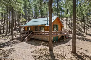 9 County Road N1029 --, Greer, AZ 85927 - Photo 9