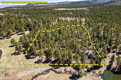 9 County Road N1029 --, Greer, AZ 85927 - Photo 3