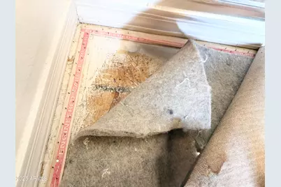 12209 W Desert Lane, El Mirage, AZ 85335 - Photo 61