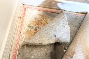 12209 W Desert Ln, El Mirage, AZ 85335 - Photo 61