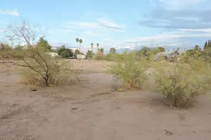 10891 E The Griffin Way, Valley Farms, AZ 85191 - Photo 43