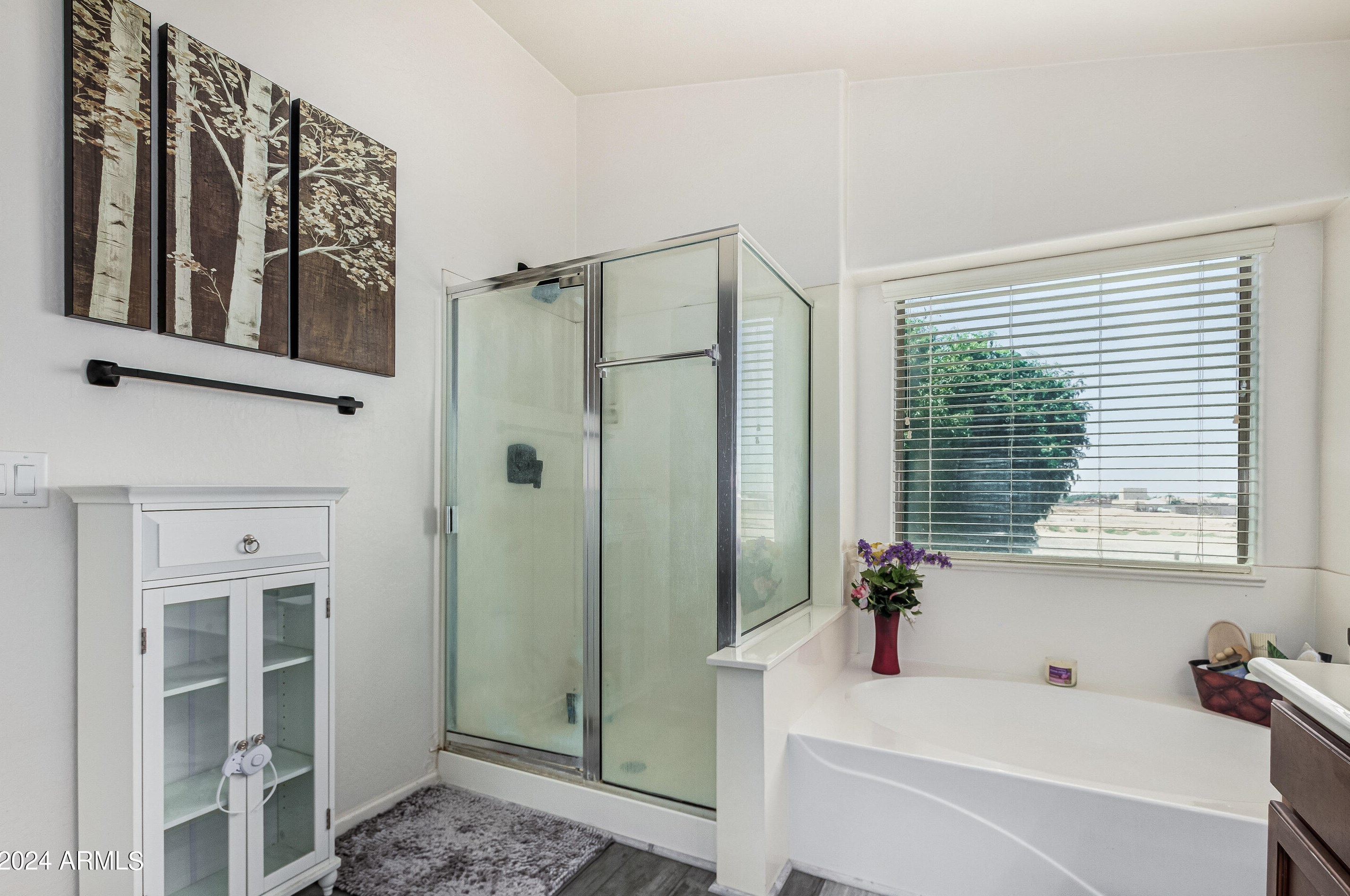 38538 Beverly Ave, San Tan Valley AZ  85140-4348 exterior