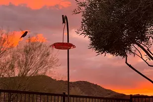 13075 W Desert Vista Trail, Peoria, AZ 85383 - Photo 25