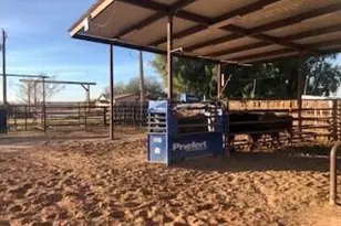 642 E Cornman Rd, Coolidge, AZ 85128 - Photo 55