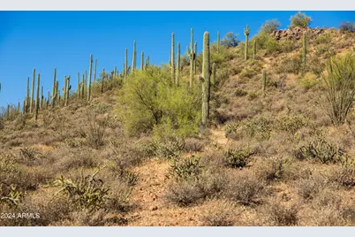 42000 N Sierra Vista Road #-, Cave Creek, AZ 85331 - Photo 9