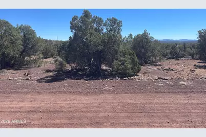 0 Show Low Pines Unit 8 Lot 346 Road #346, Show Low, AZ 85901 - Photo 3