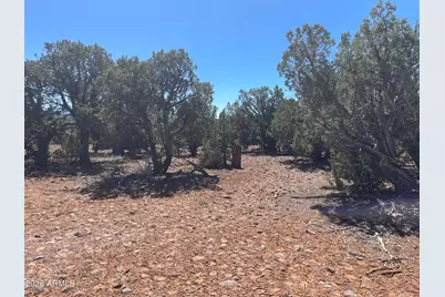 0 Show Low Pines Unit 8 Lot 346 Road #346, Show Low, AZ 85901 - Photo 5