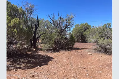 0 Show Low Pines Unit 8 Lot 346 Road #346, Show Low, AZ 85901 - Photo 7