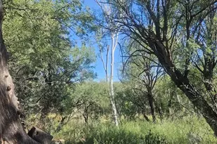 1388 E Cottonwood Ln, Huachuca City, AZ 85616 - Photo 15