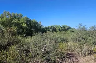 1388 E Cottonwood Ln, Huachuca City, AZ 85616 - Photo 23