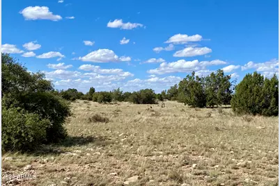 5733 W Clove Hitch Road #356, Williams, AZ 86046 - Photo 15