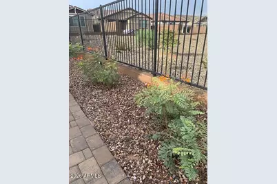 31861 N 125th Lane, Peoria, AZ 85383 - Photo 17