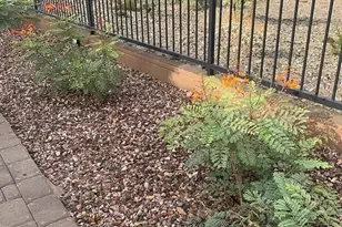 31861 N 125th Ln, Peoria, AZ 85383 - Photo 17