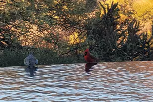 9784 E Miramonte Dr, Scottsdale, AZ 85262 - Photo 43