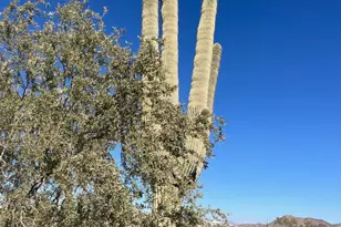 26113 N 113th Ave, Peoria, AZ 85383 - Photo 1