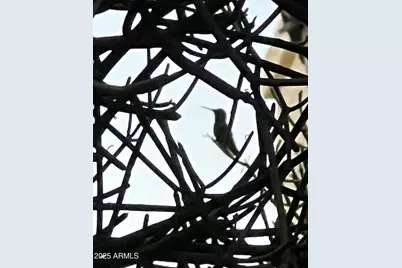 771 E Pepper Drive, Casa Grande, AZ 85122 - Photo 27