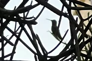 771 E Pepper Dr, Casa Grande, AZ 85122 - Photo 27