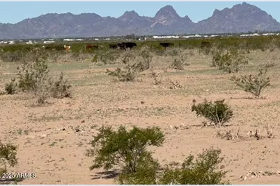 53254 N 61st Street #-, Salome, AZ 85348 - Photo 13