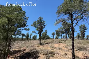 1115 N Scenic Dr, Payson, AZ 85541 - Photo 7