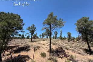 1115 N Scenic Dr, Payson, AZ 85541 - Photo 11