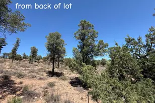 1115 N Scenic Dr, Payson, AZ 85541 - Photo 9